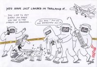 Petting Soi Dogs - Bt 600